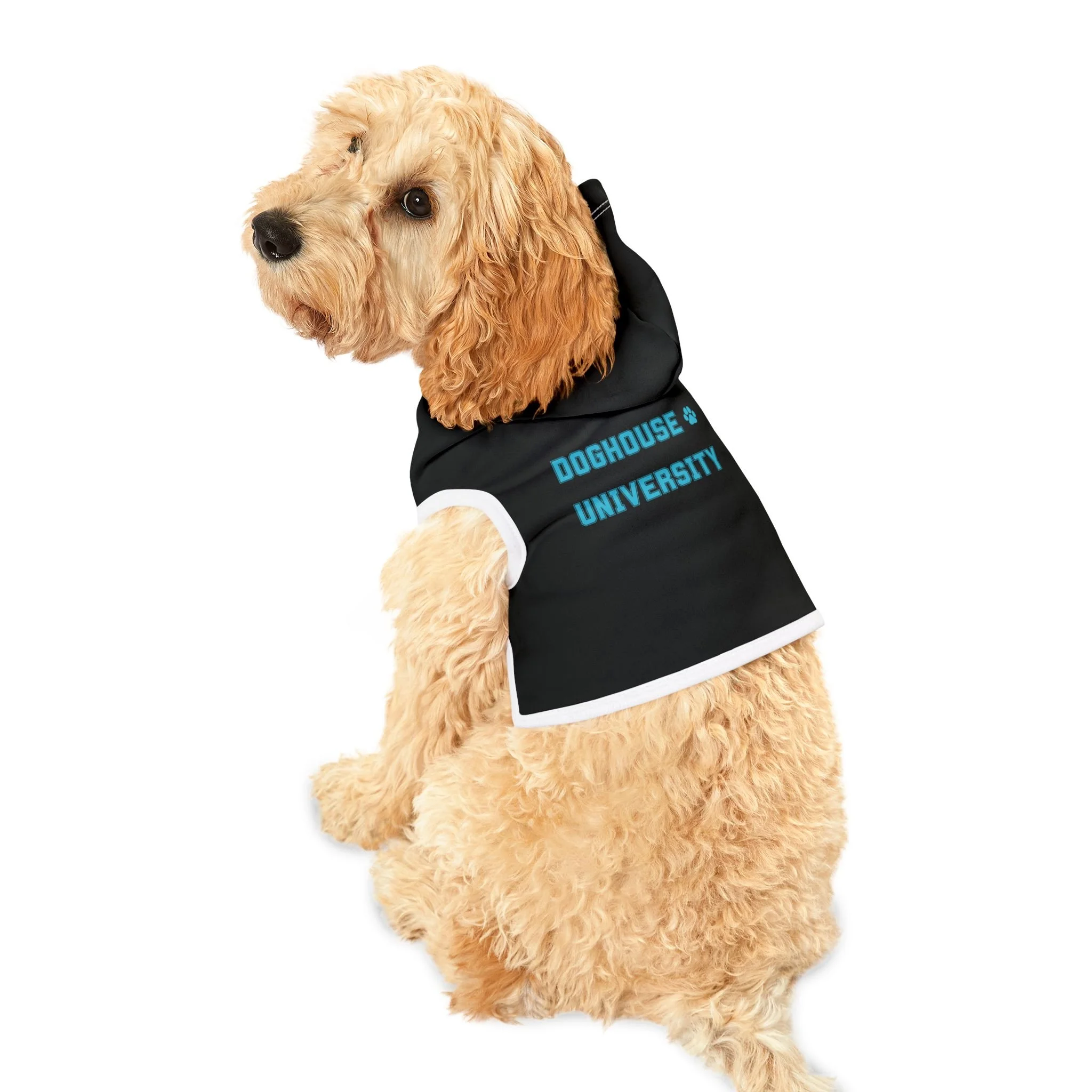 Doghouse University Pet Hoodie — Midnight Black & Teal, Premium Material