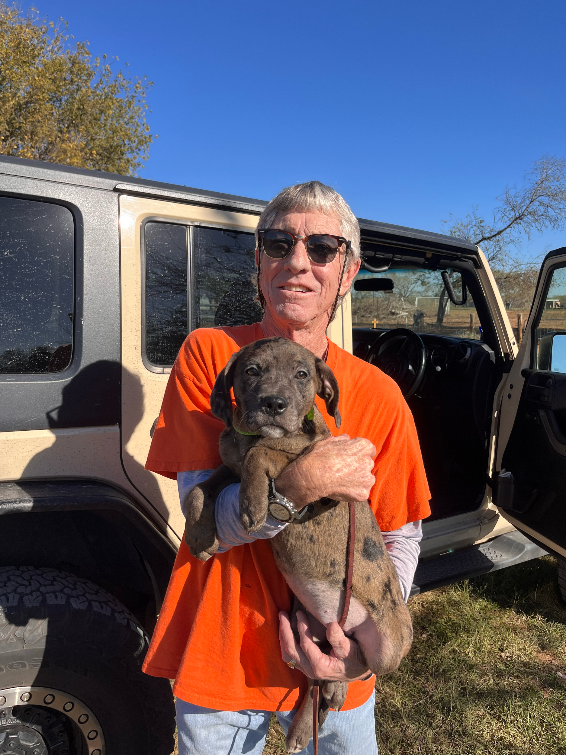Older man holding a large puppy, standing next to an open vehicle door on a sunny day.