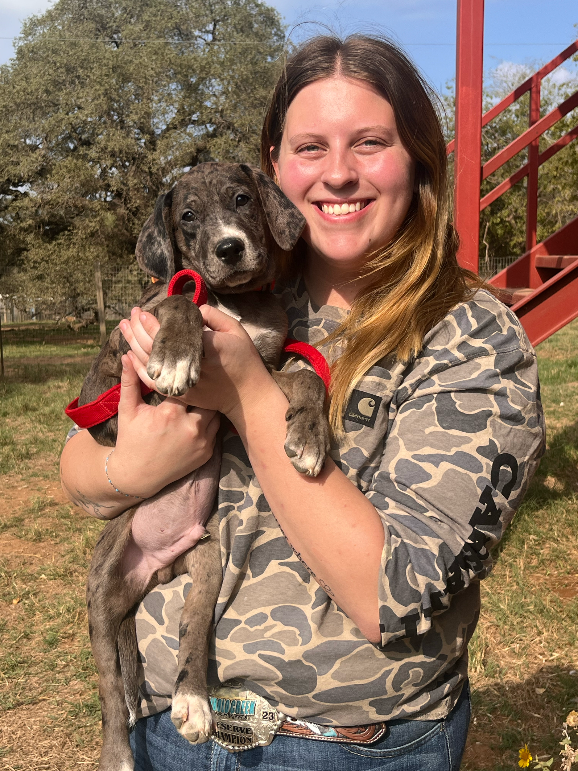 A woman with long brown hair smiling while holding a puppy with brindle coat and long ears, outdoors on grass under a blue sky.