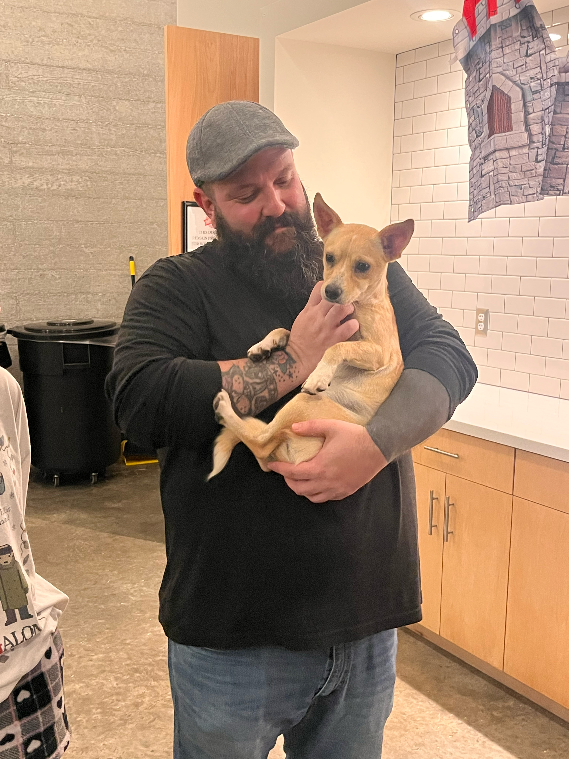 A man with a gray beard and tattooed arm holding a tan dog with pointy ears inside a room with a brick wall design and wooden cabinets.