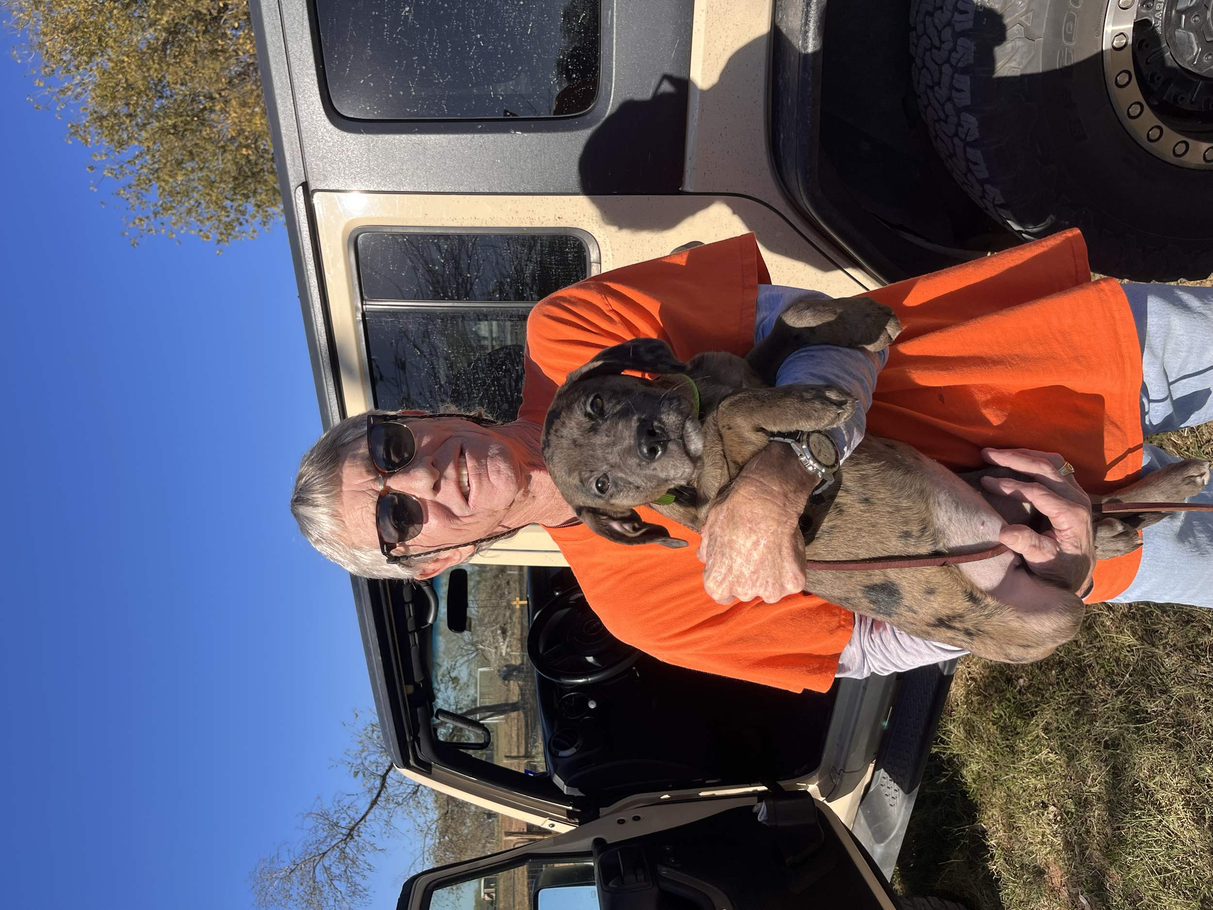 Older man holding a large puppy, standing next to an open vehicle door on a sunny day.