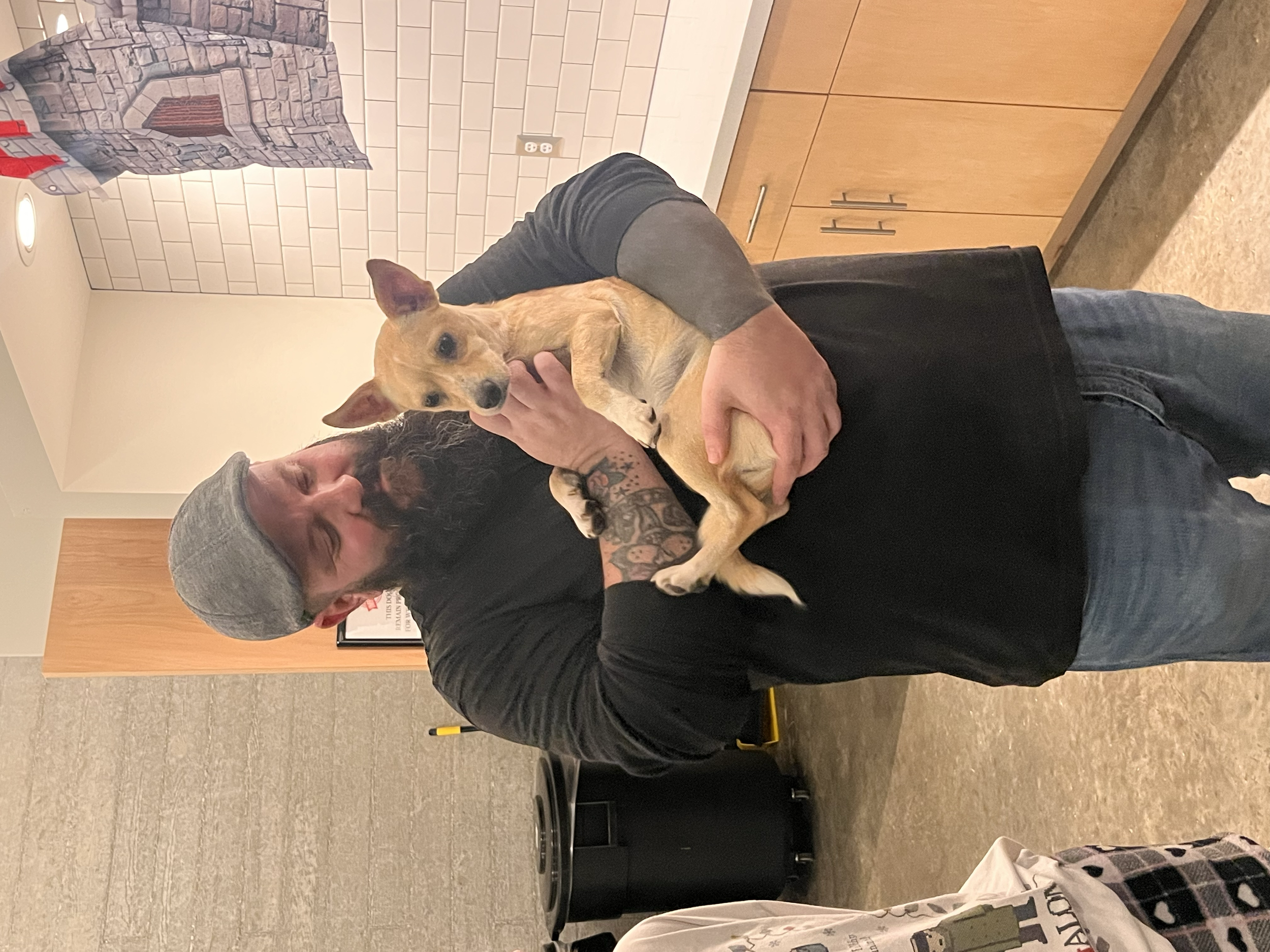 A man with a gray beard and tattooed arm holding a tan dog with pointy ears inside a room with a brick wall design and wooden cabinets.
