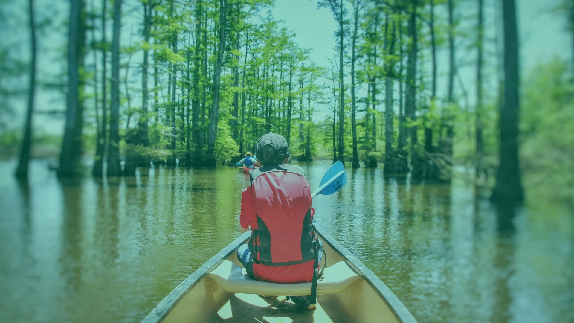People canoeing through a flooded forest with tall trees and green foliage.