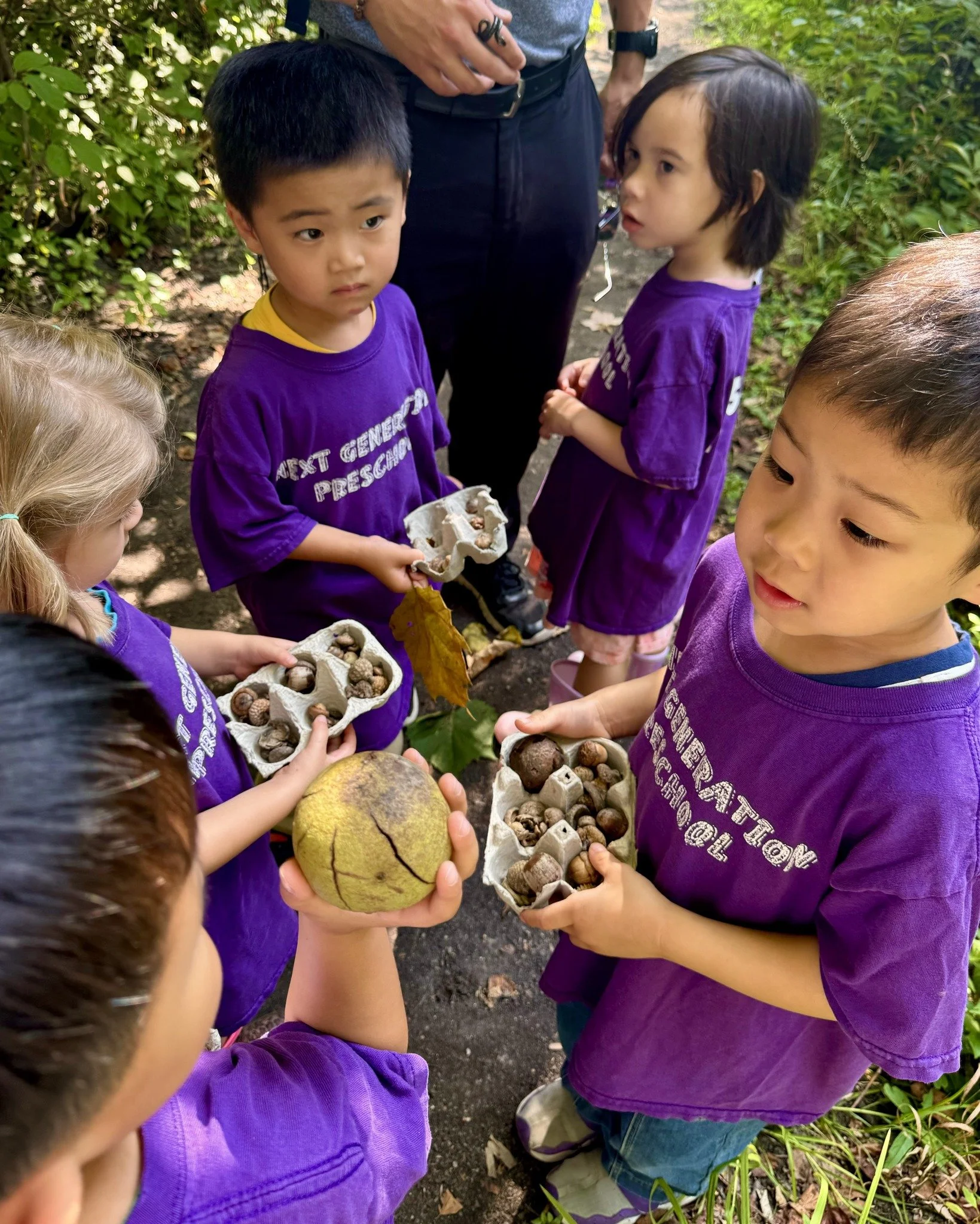 Group of children wearing purple shirts standing outdoors, holding egg cartons filled with acorns, a large yellow-green fruit, and leaves, with a person in dark pants partially visible.