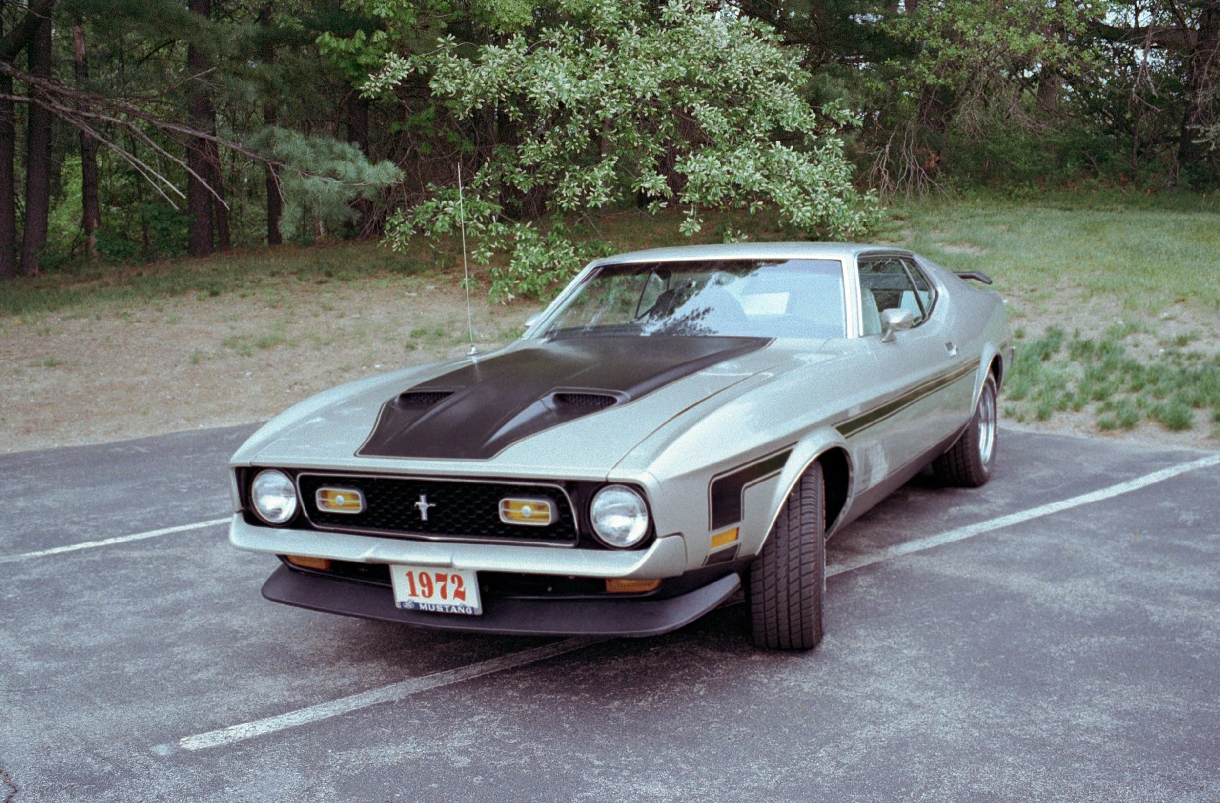 dam-xpan-51.jpg