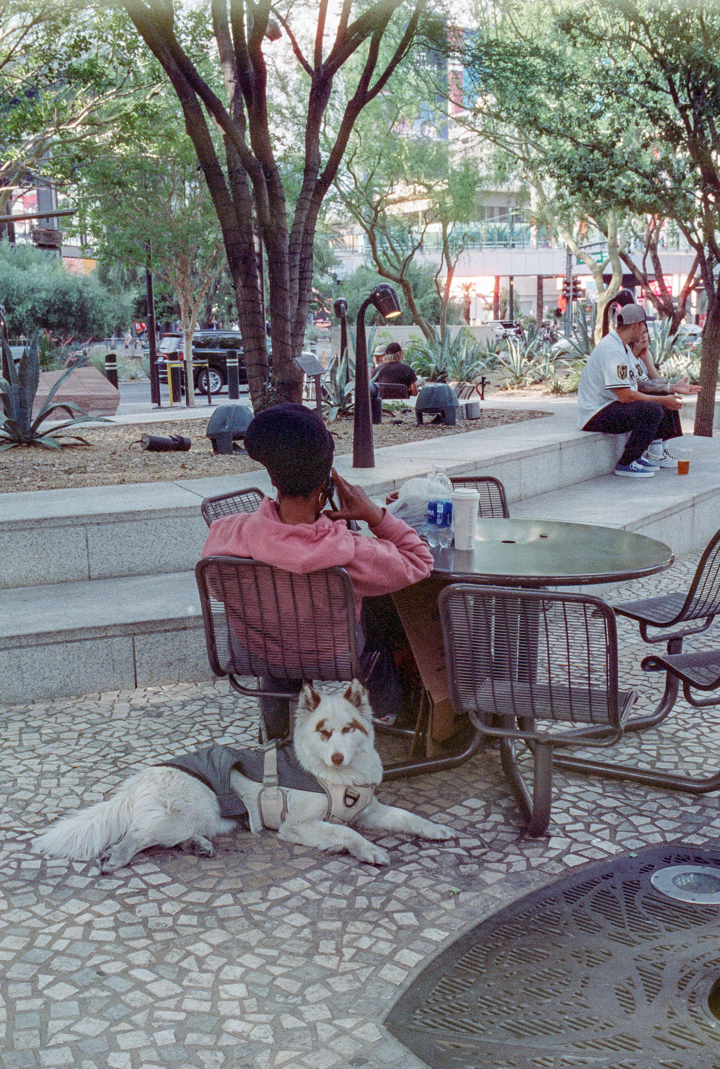 dam-xpan-21.jpg