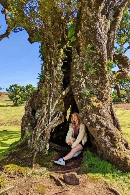 A young woman sitting inside a hollow tree trunk outdoors on a sunny day, with a landscape of green grass and hills in the background.