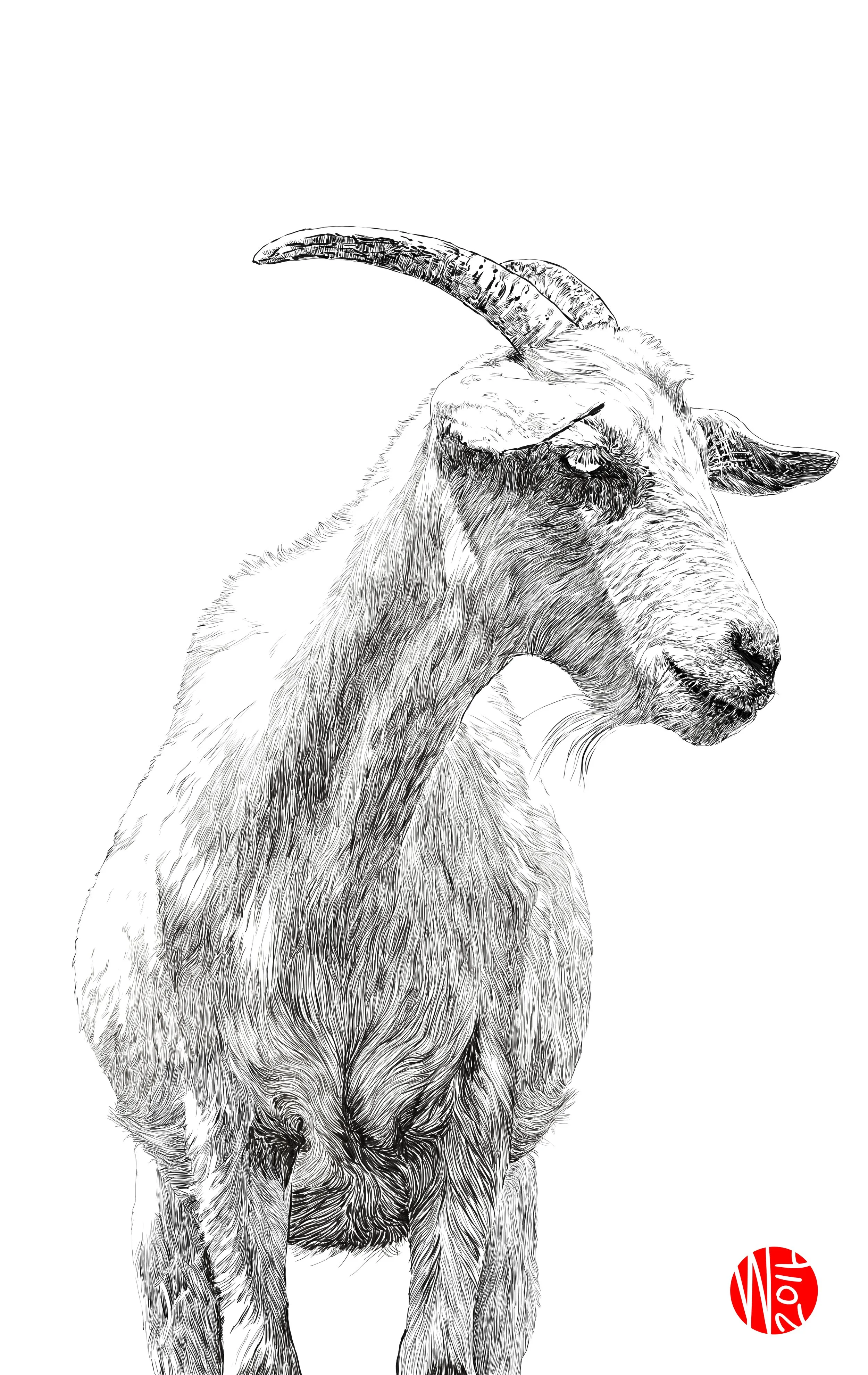 ram.jpg