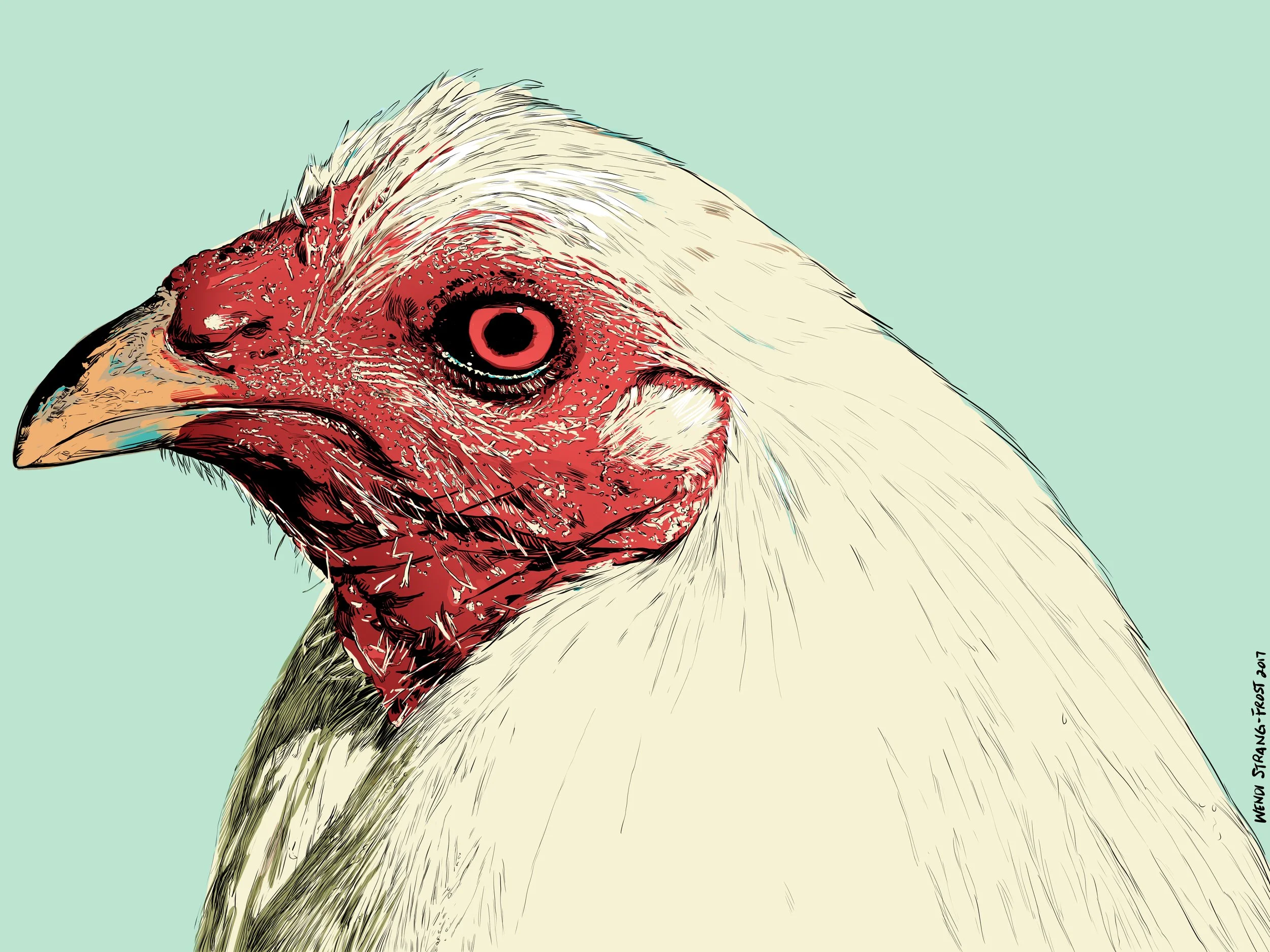 whiteHen.jpg