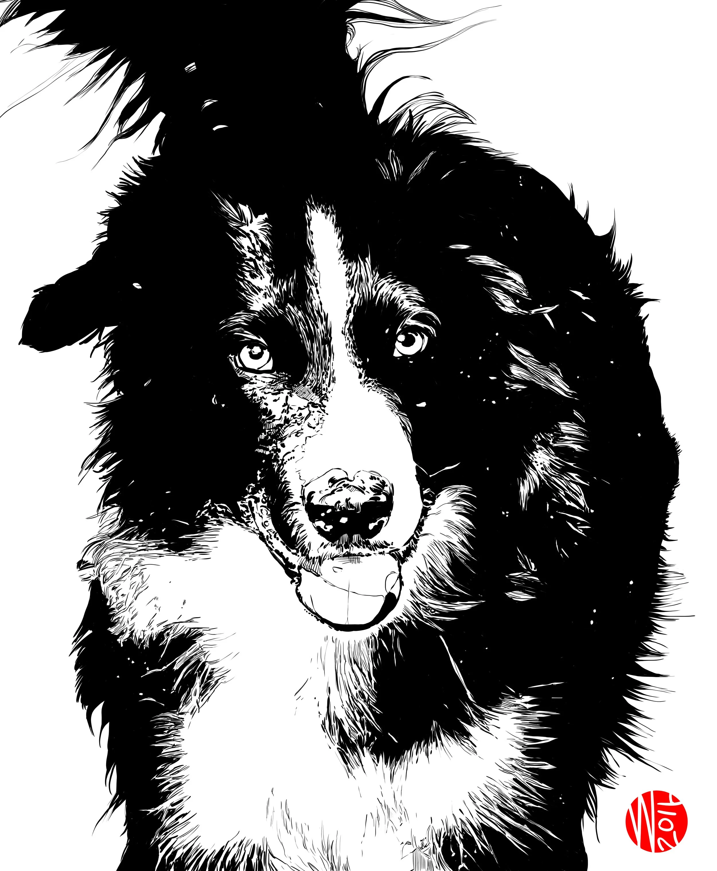 dog.jpg