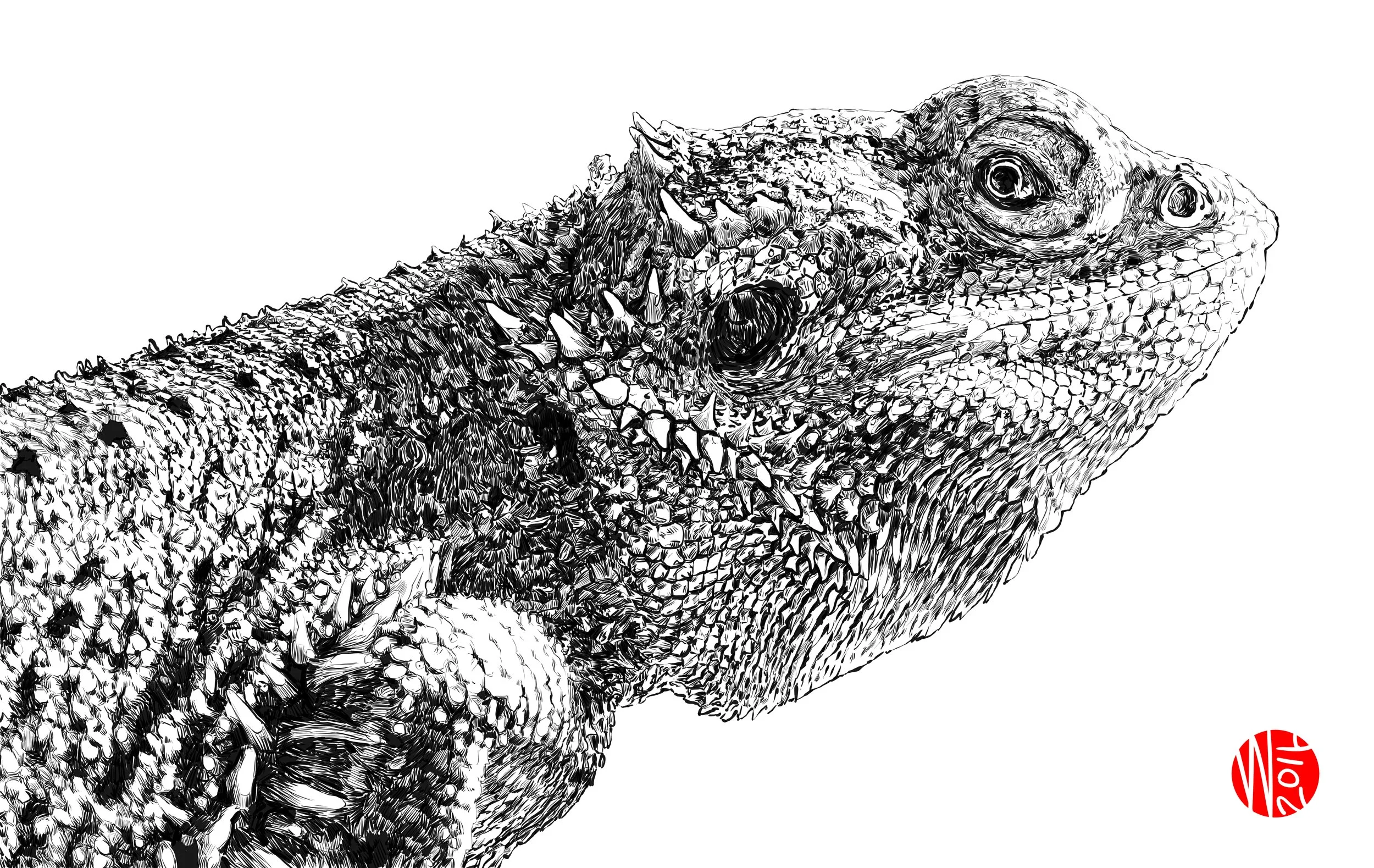 dragon.jpg