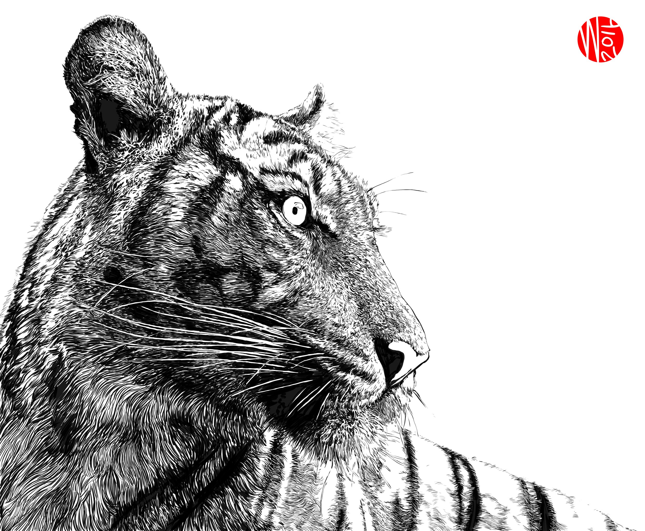 tiger.jpg