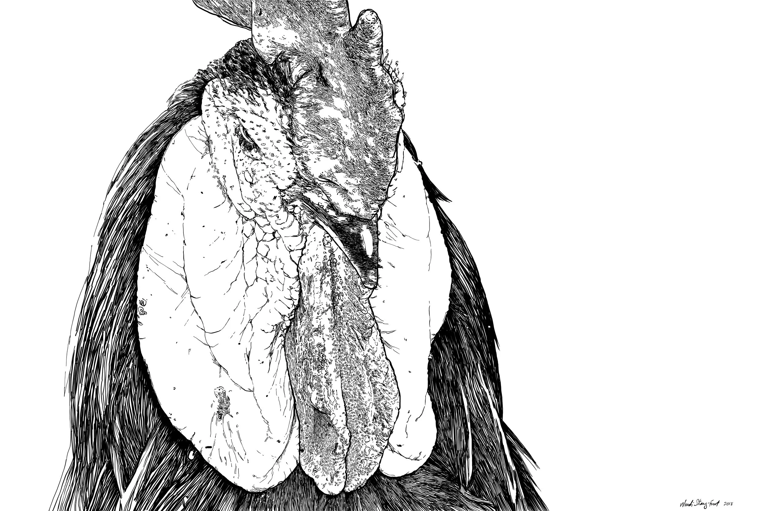 roosterII_INPRNT.jpg