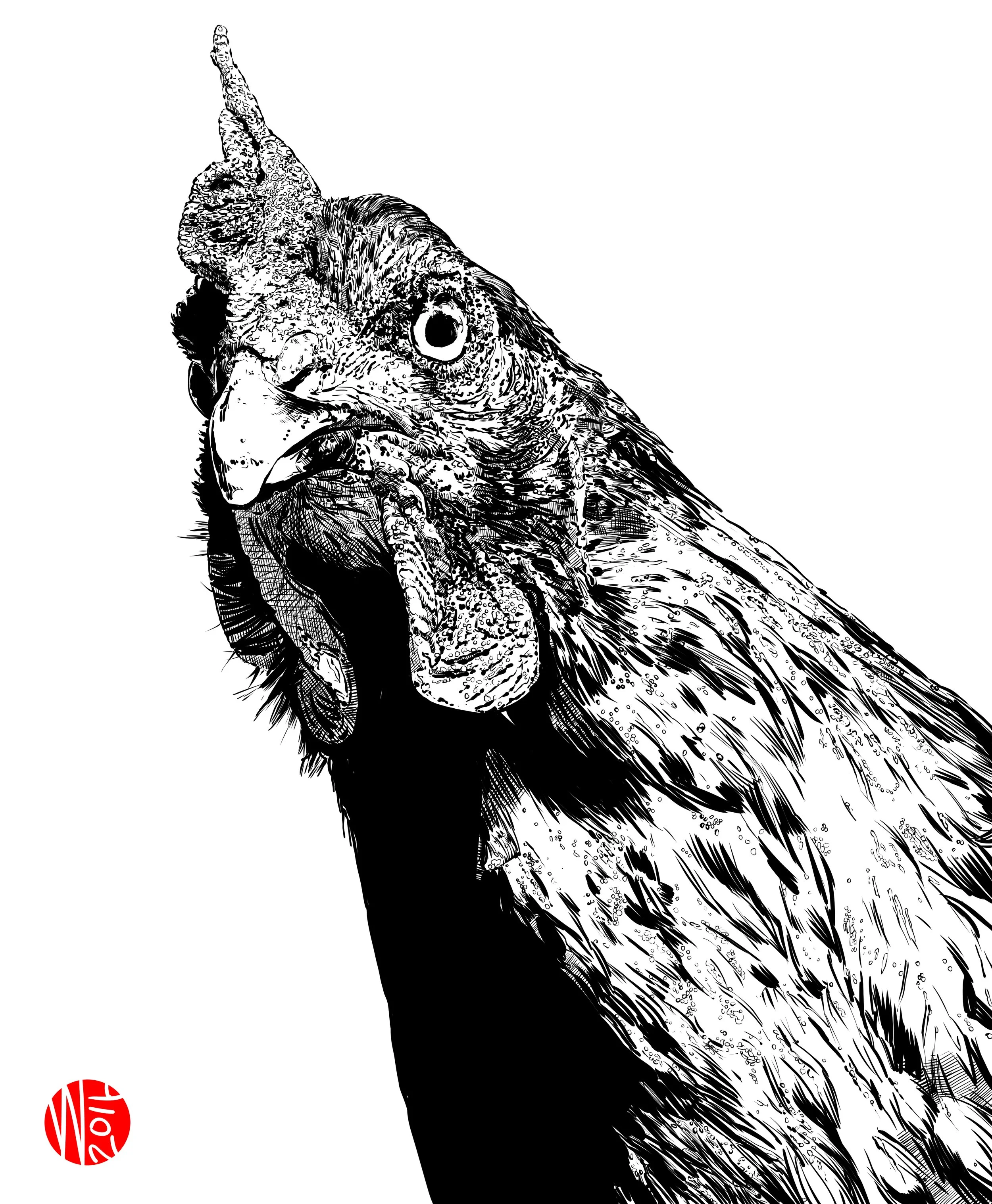 rooster.jpg