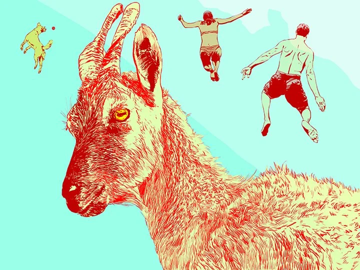 goatWIP02web.jpg