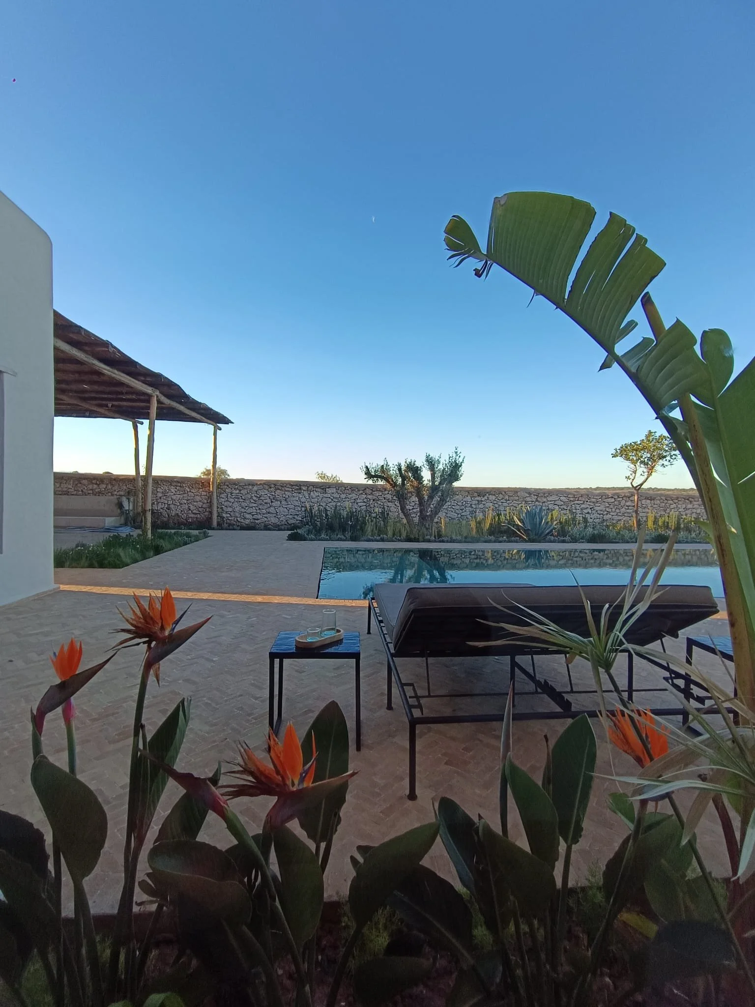 Vue d'une piscine extérieure avec des chaises longues, un petit tableau avec des verres, entourée de plantes tropicales, sous un ciel clair, probablement en fin d'après-midi.