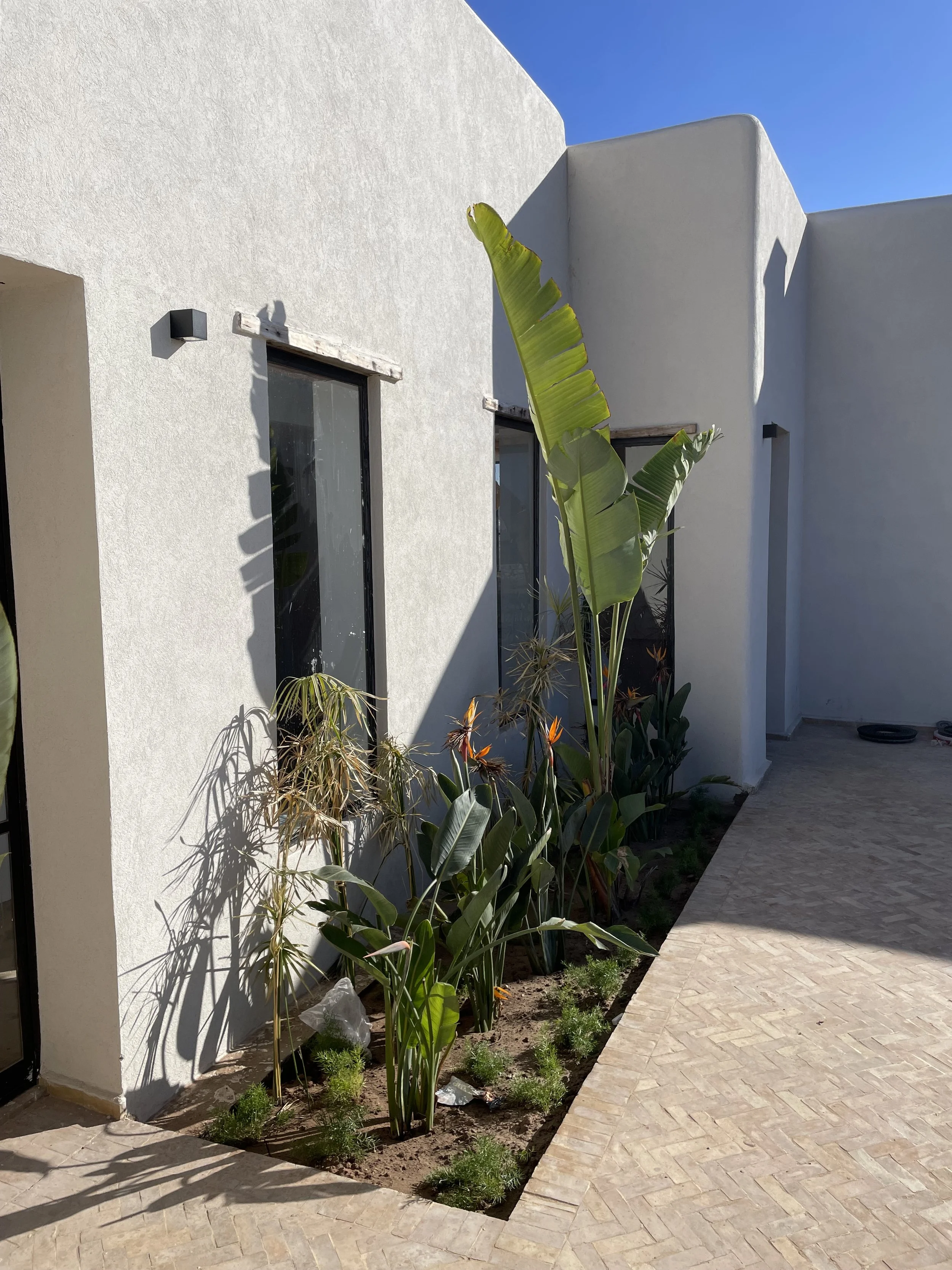 Jardin avec plants tropicaux, tels que des bananiers, plantés le long d'un mur blanc d'une maison moderne, sous un ciel clair.