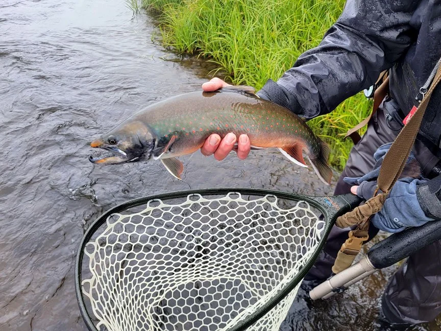 remote-alaska-fly-fishing-trips.jpg