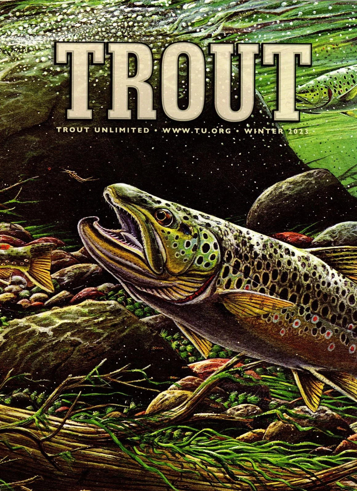 Alaska Wilderness SAFARI article in Trout Unlimited's magazine