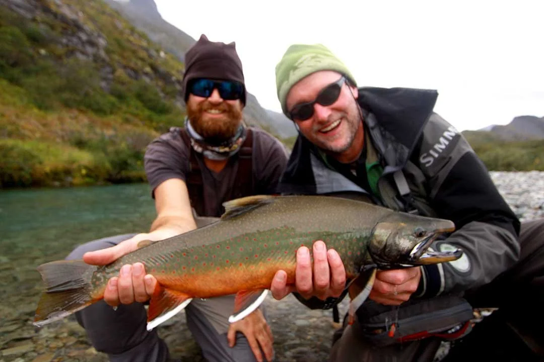 Dolly Varden
