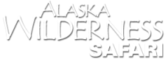 Alaska Wilderness Safari