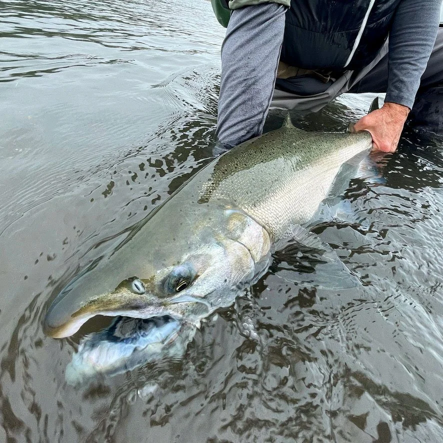 best-remote-alaska-fly-fishing-lodge.jpg