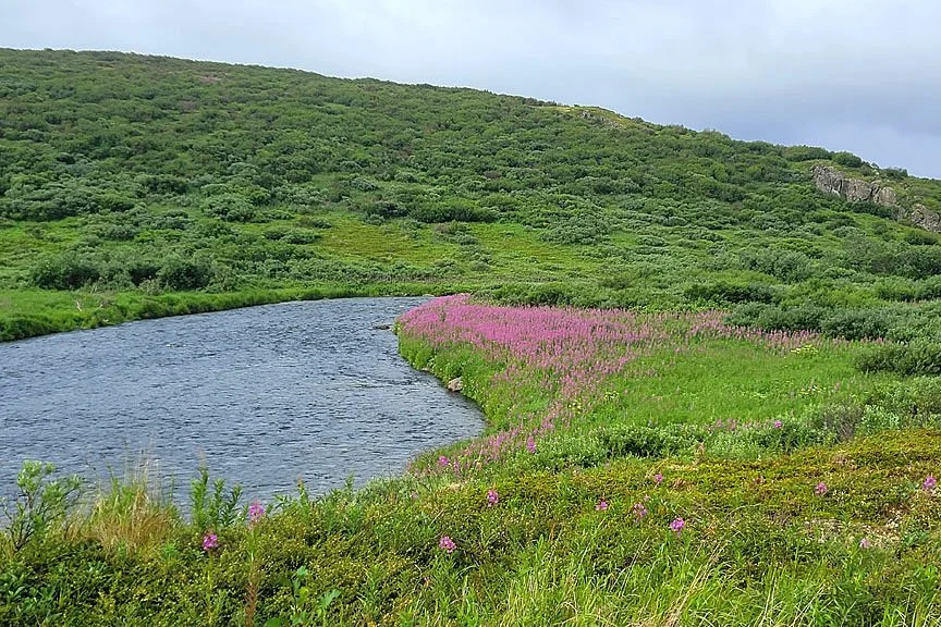 best-bristol-bay-fly-fishing-trip.jpg