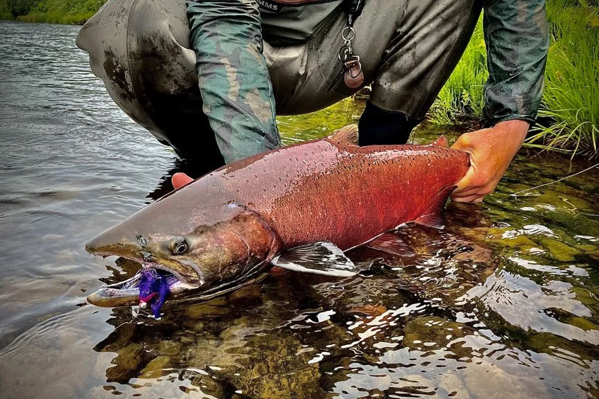 alaska-fly-fishing-adventure-trip.jpg