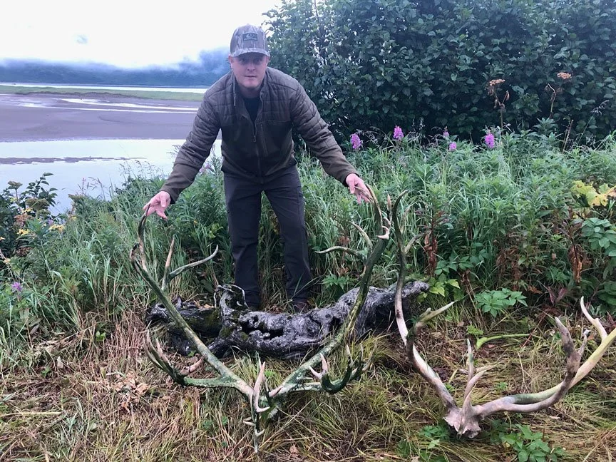 alaska-peninsula-caribou.jpg