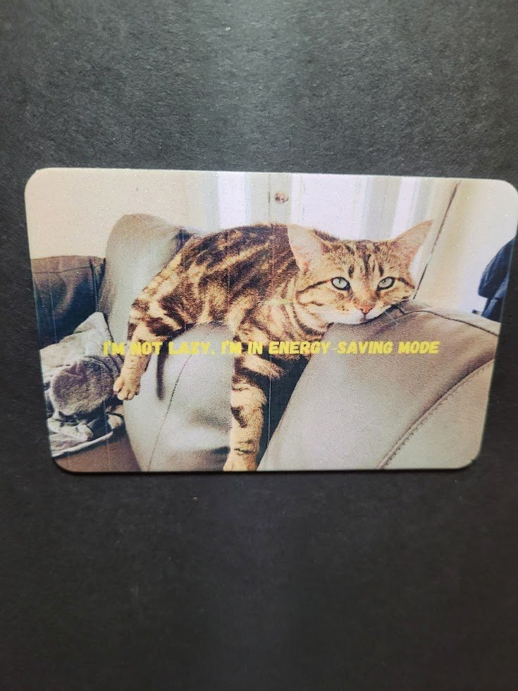 Energy-Saving Mode Cat Magnet