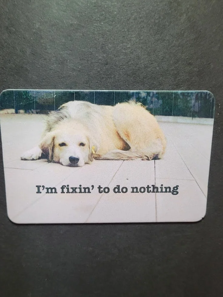 “Fixin’ to Do Nothing” Magnet