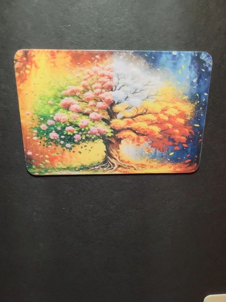 Four Seasons Tree Magnet