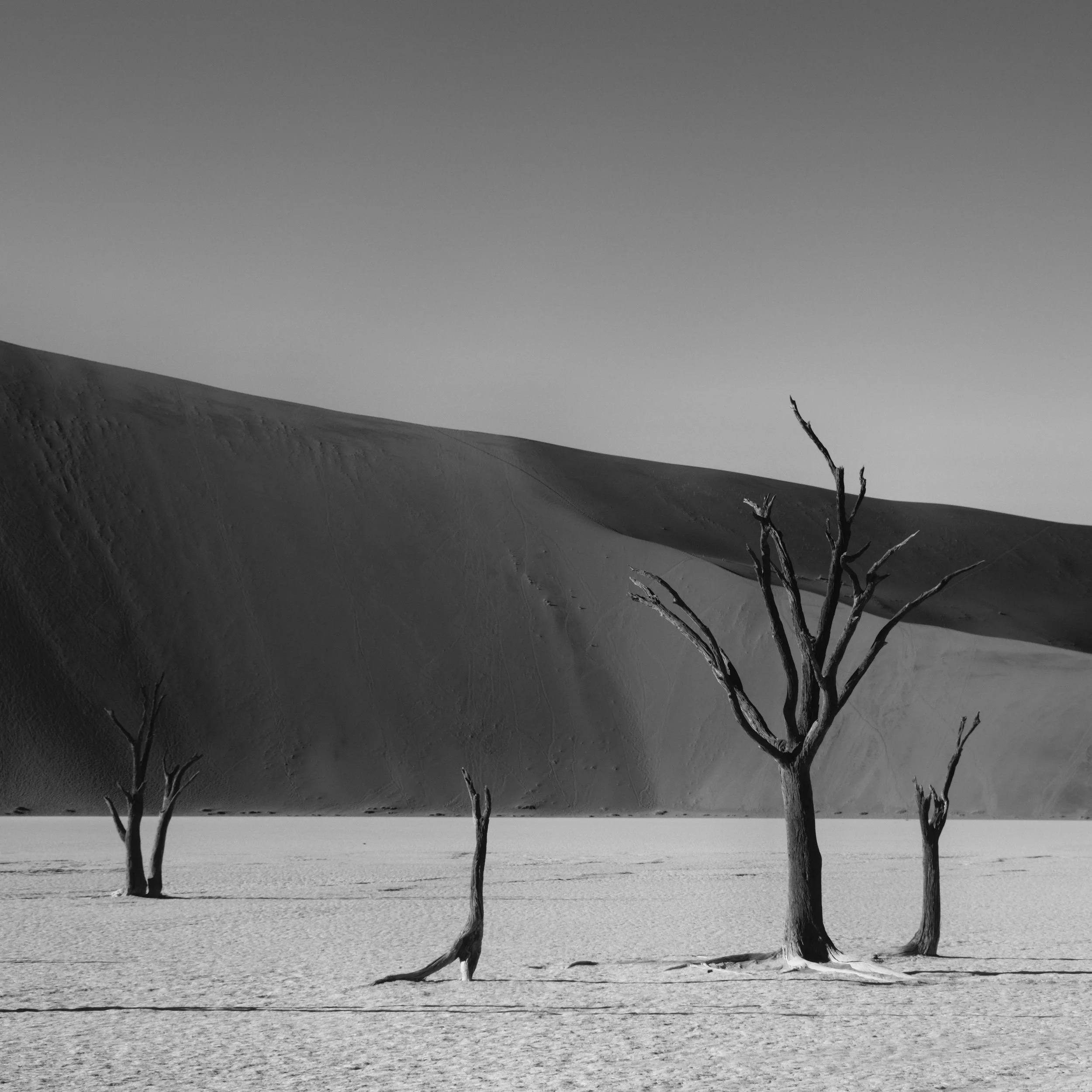A Path Through Nature