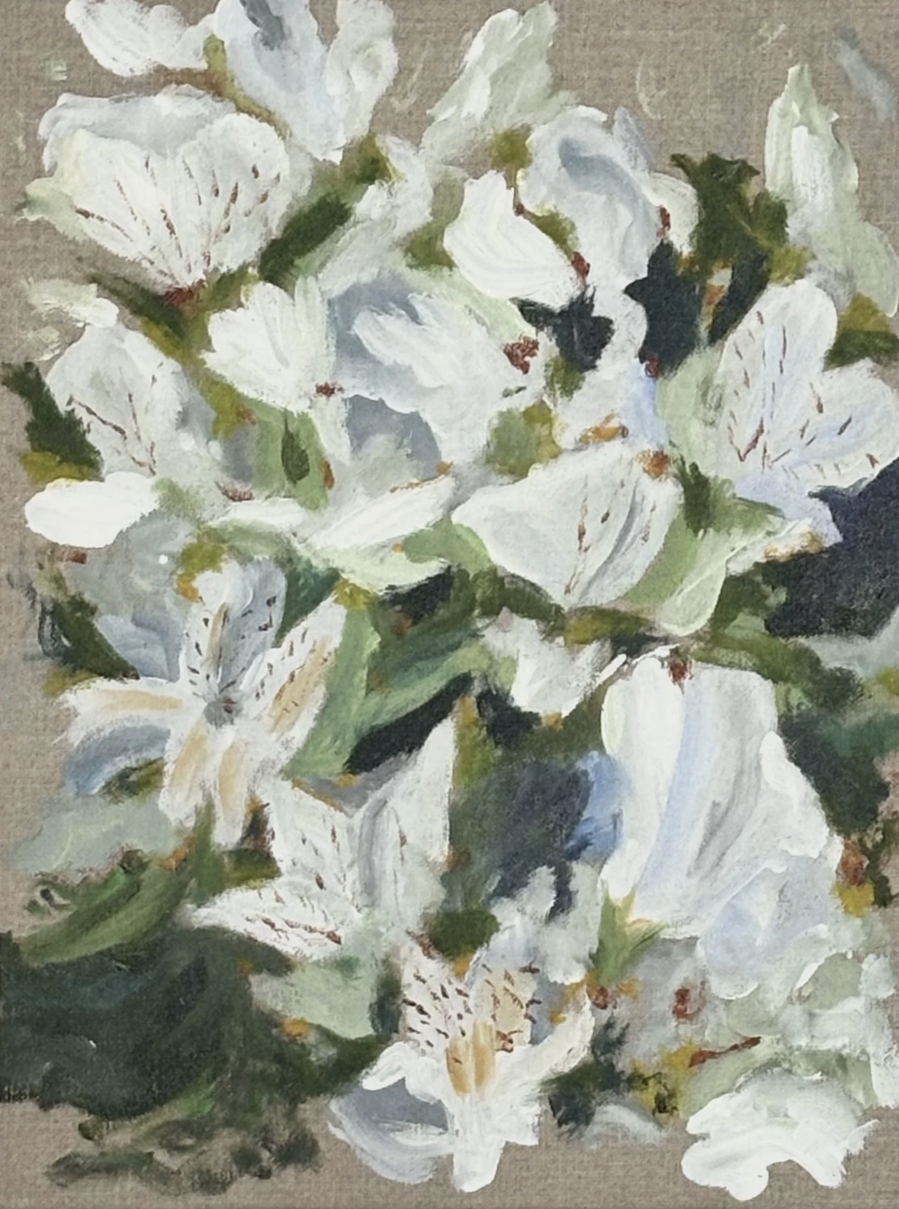 Screenshot 2026-01-10 at 12.58.56 PM.png