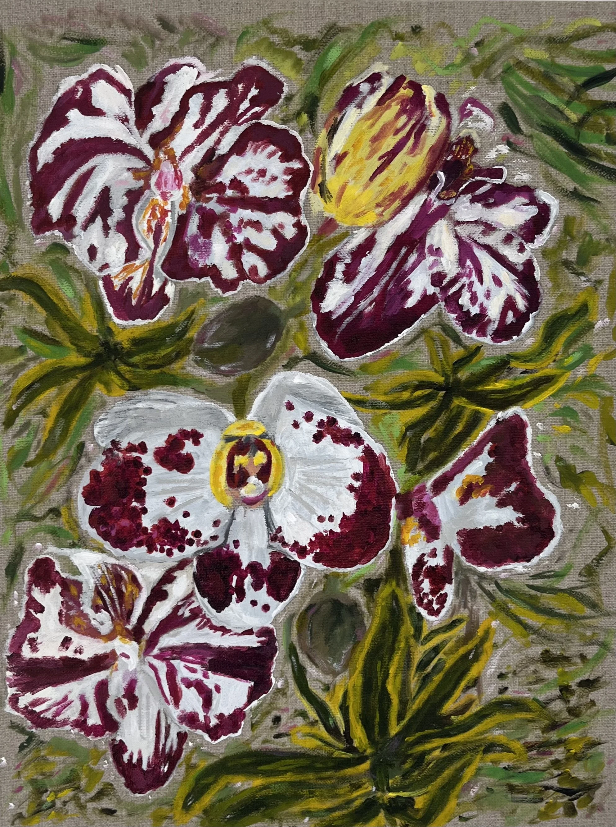 KAUAI WILD ORCHIDS - Sold