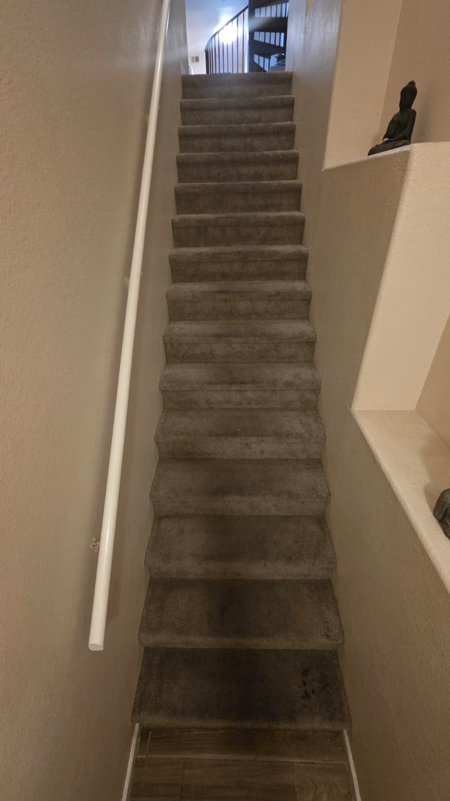 Indoor staircase with carpeted steps that were pro cleaned