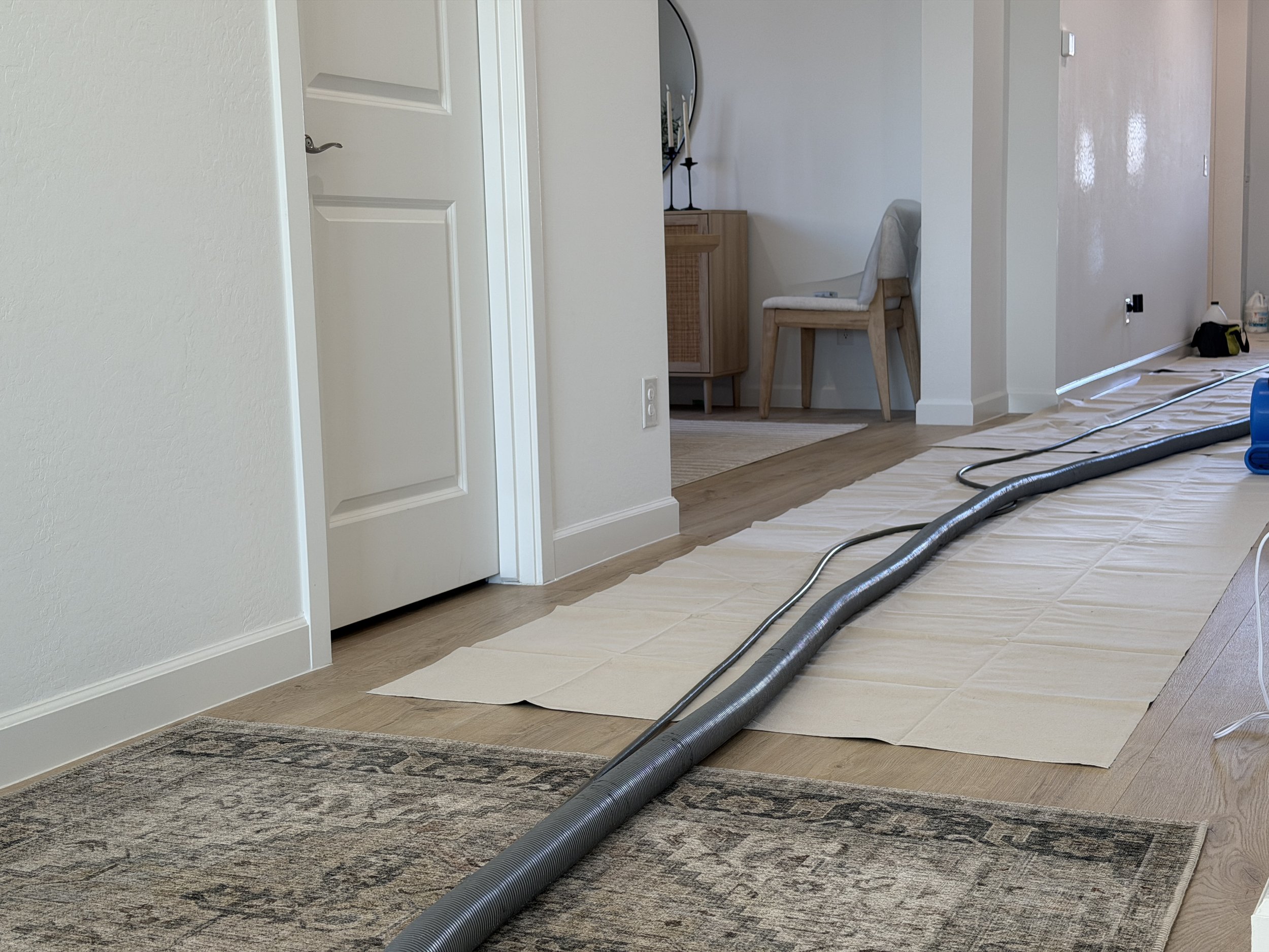 Steam cleaning process on rugs, couches in a modern home