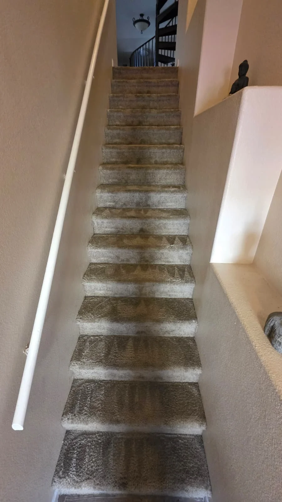 A carpeted staircase that was pro cleaned