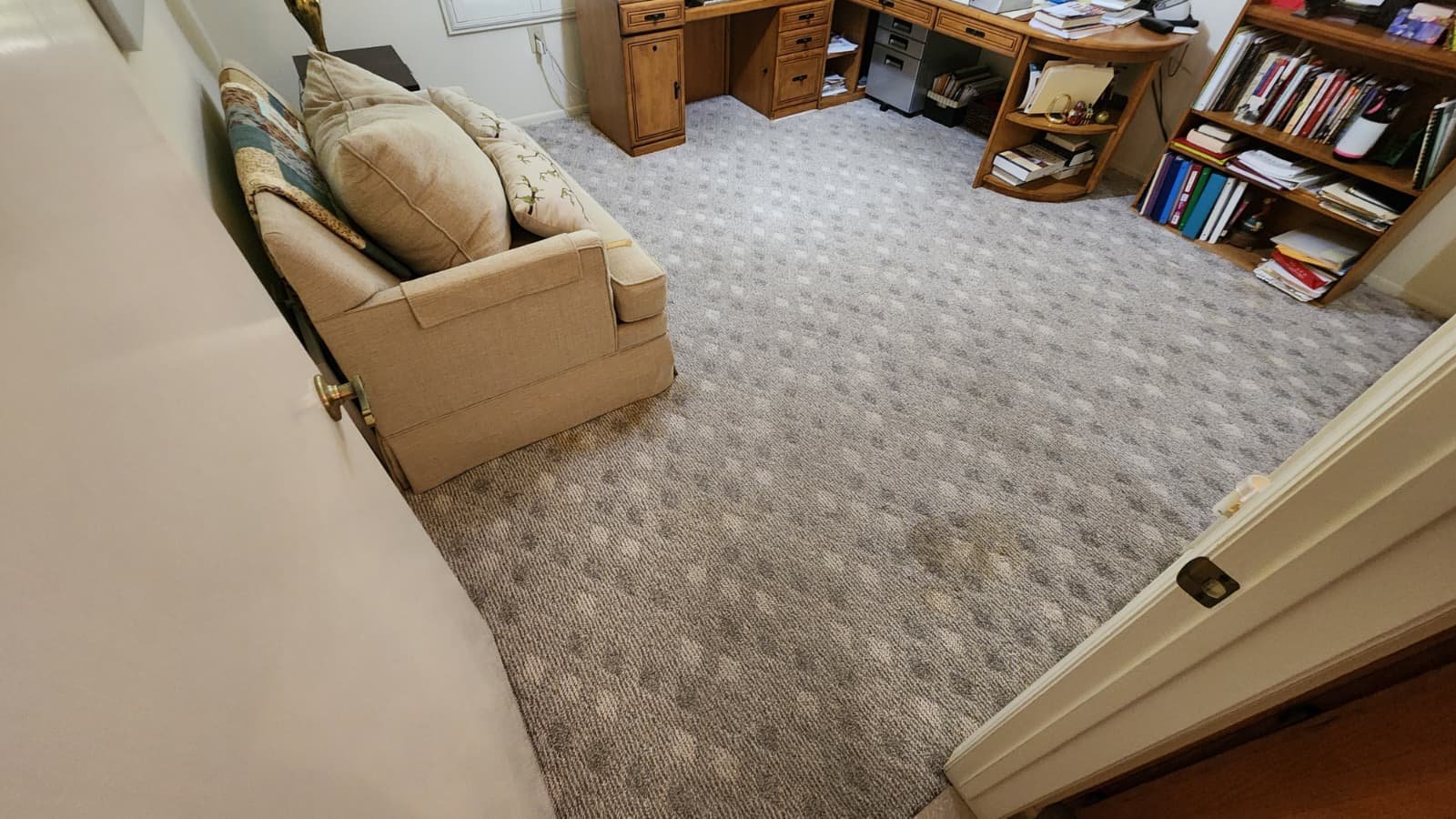 View of a carpeted living room before deep clean.