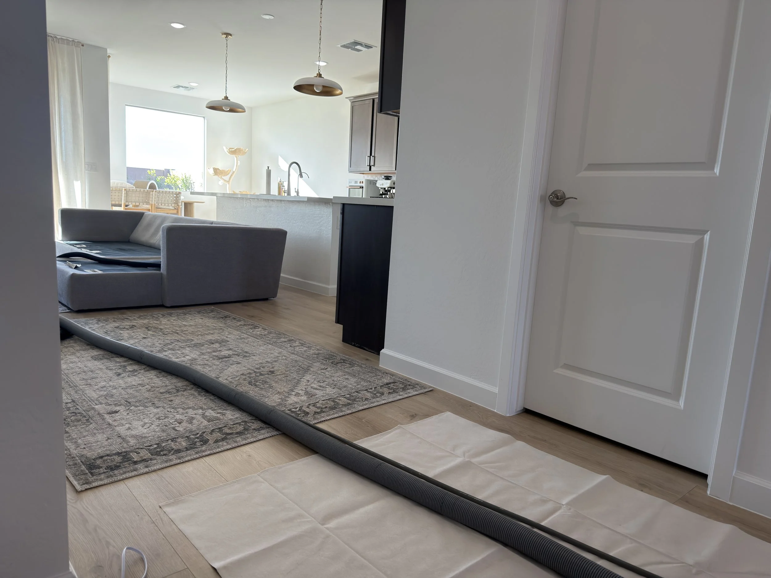 Steam cleaning process on rugs, couches in a modern home