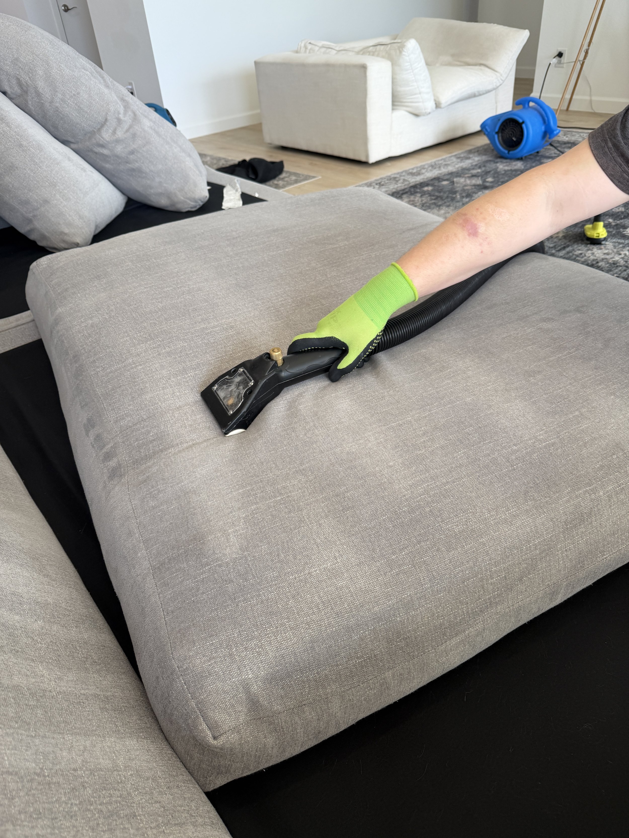 Deep cleaning steam machine used on a couch