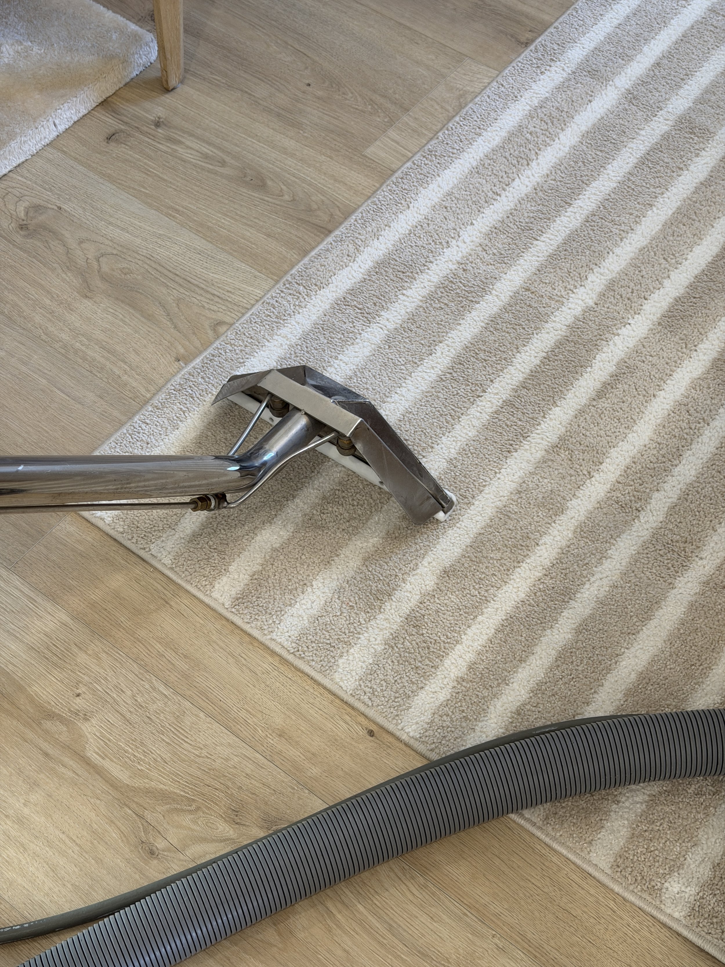 Carpet cleaning extractor used on a polyester rug