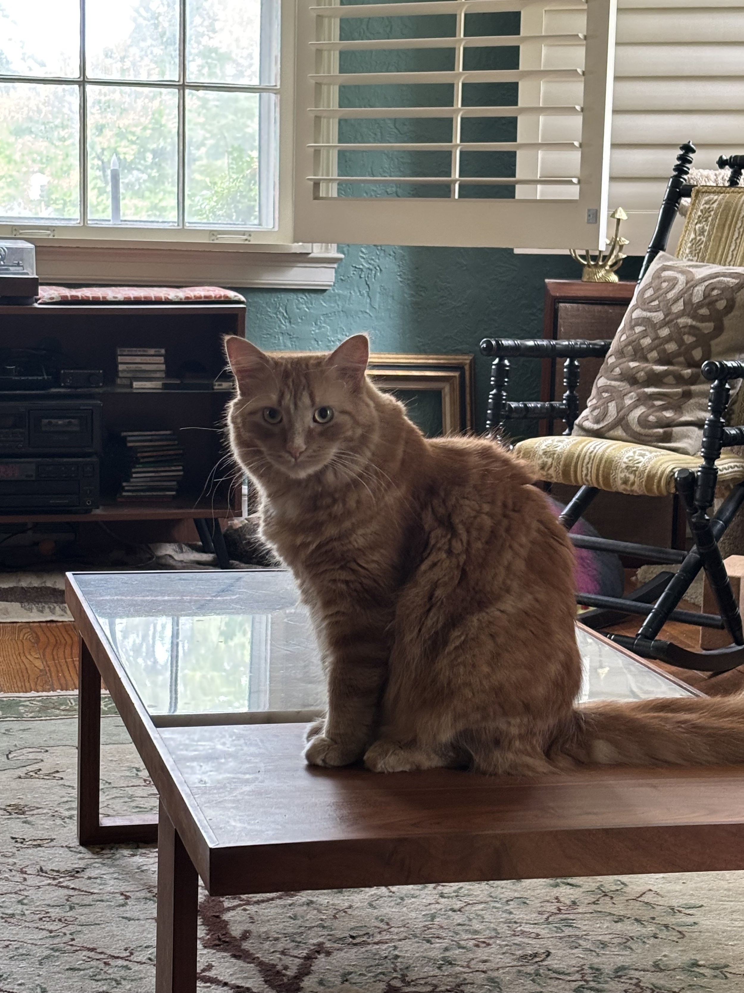 New Orleans Poetry Festival 