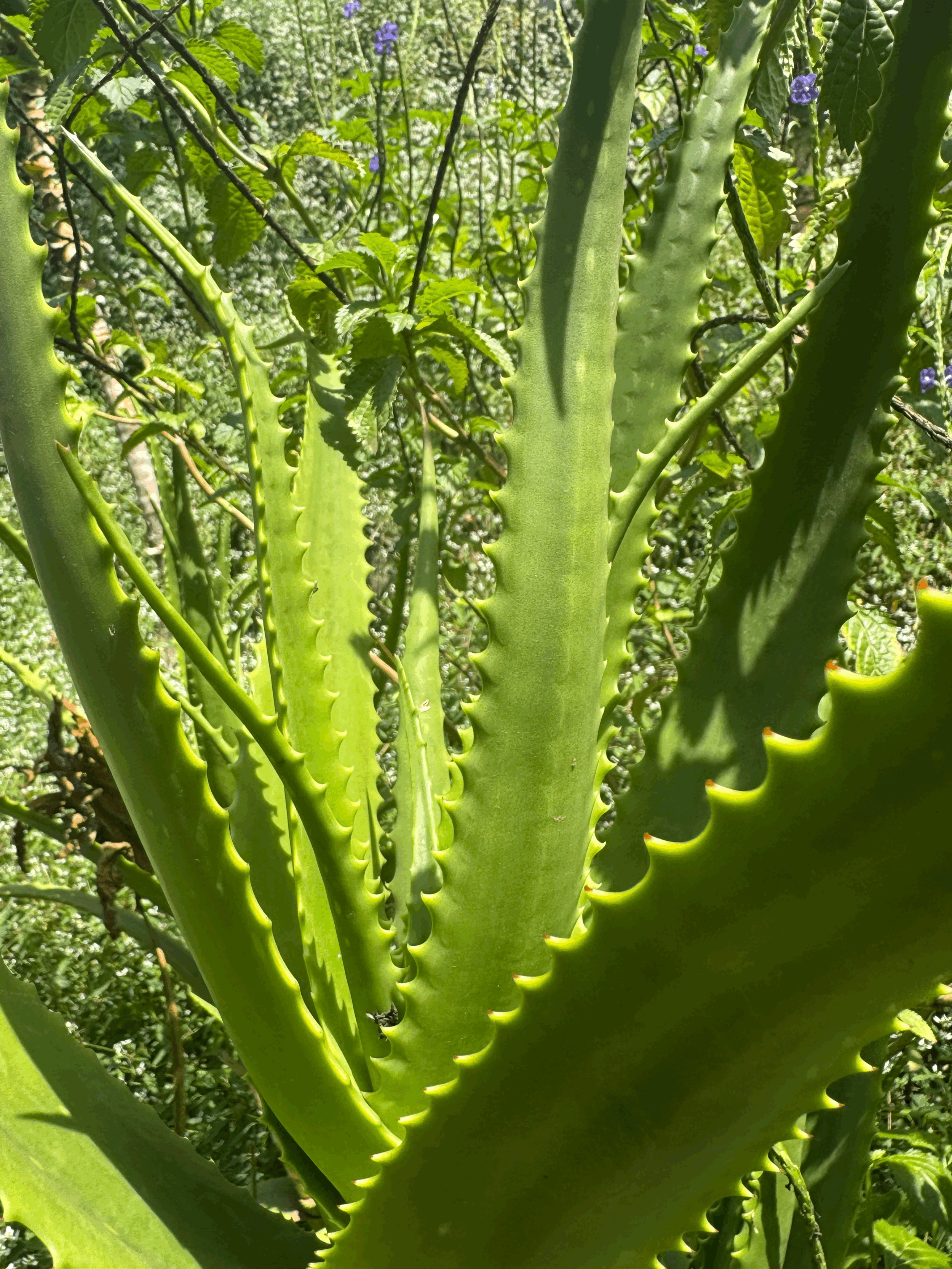 When Should You Start Thinking About Longevity?