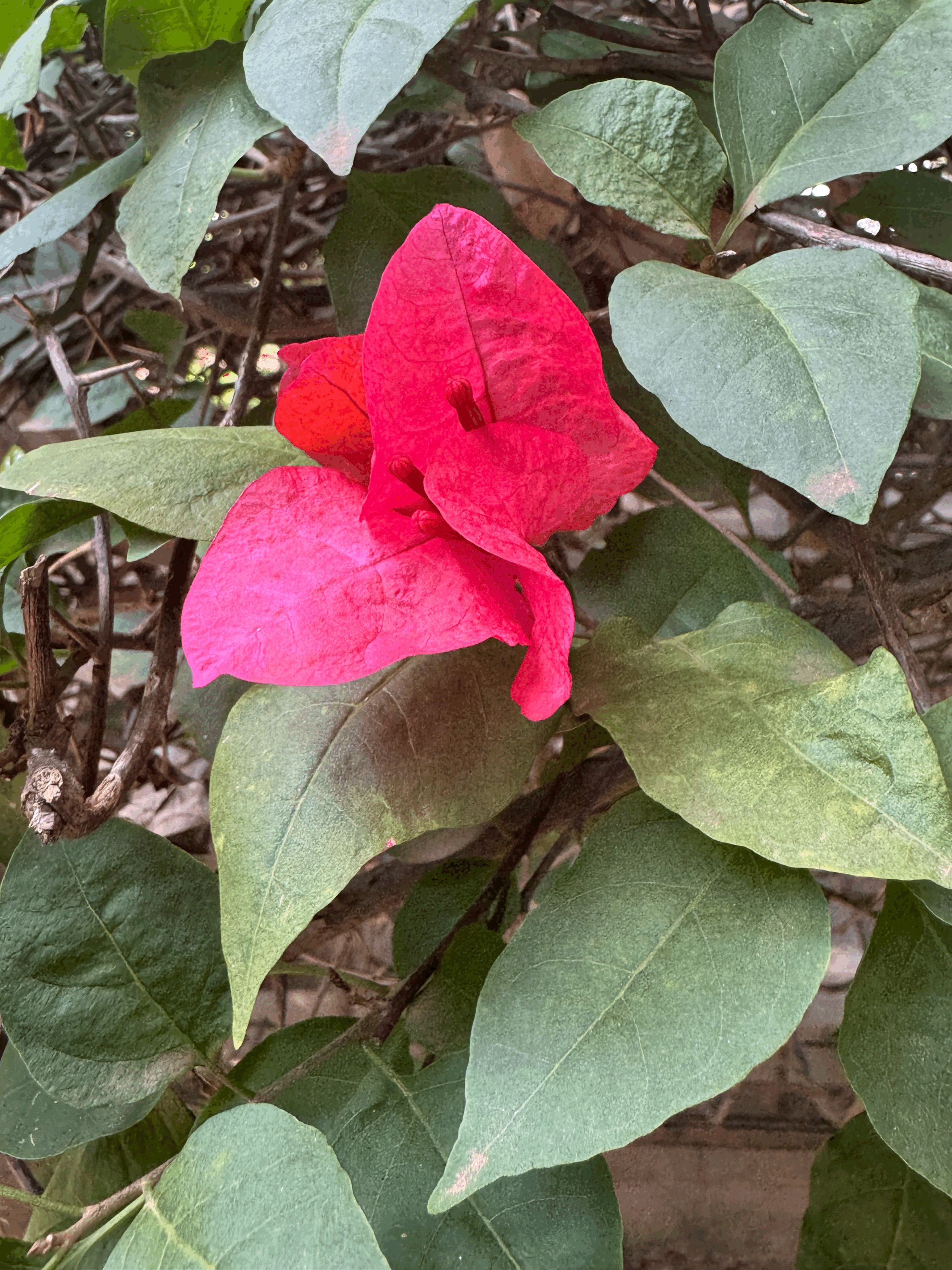 Healthspan: What Good Are Extra Years If You’re Not Well Enough to Use Them?