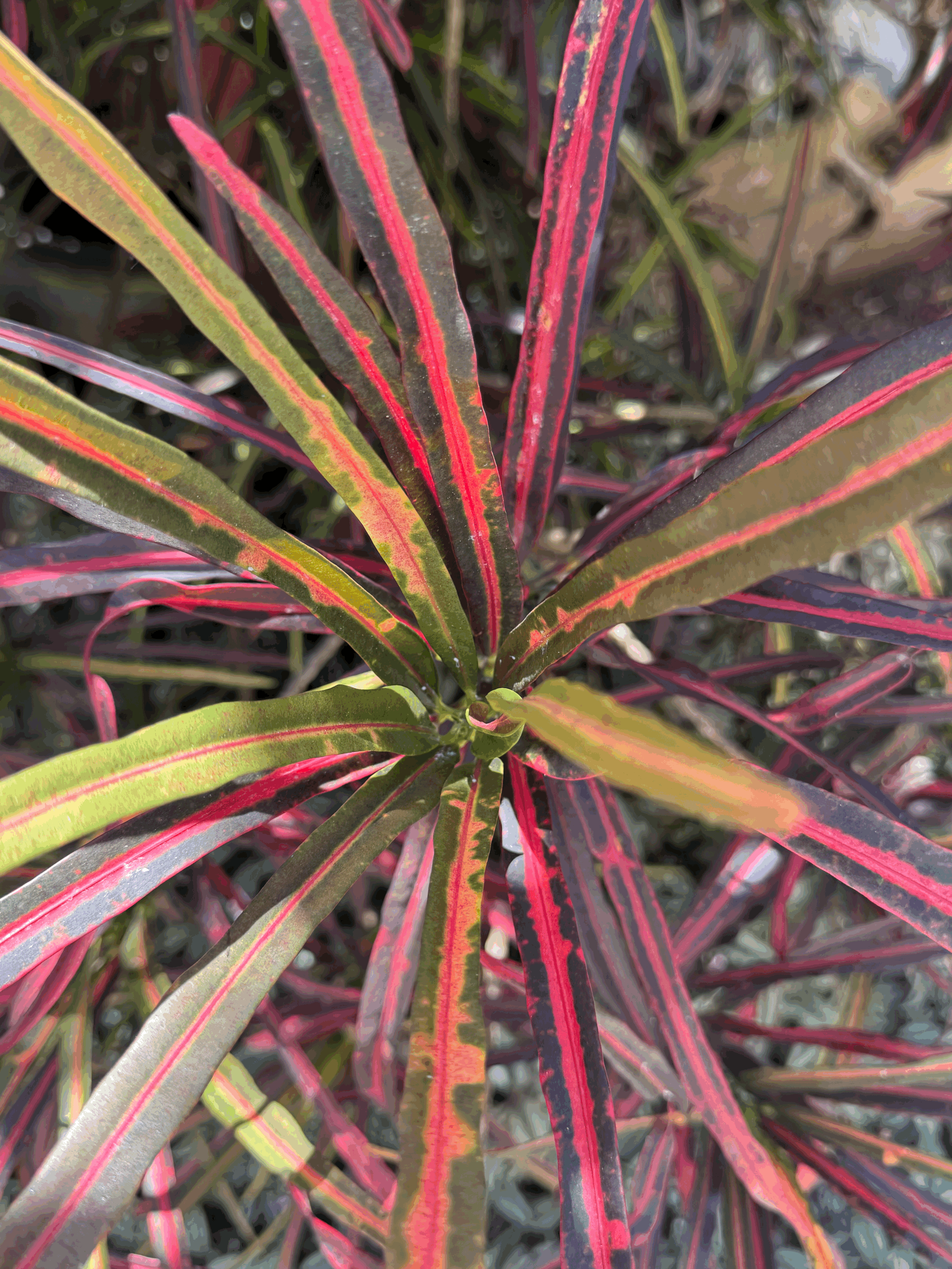 Your Doctor Was Trained to Treat Disease, Not to Keep You Healthy