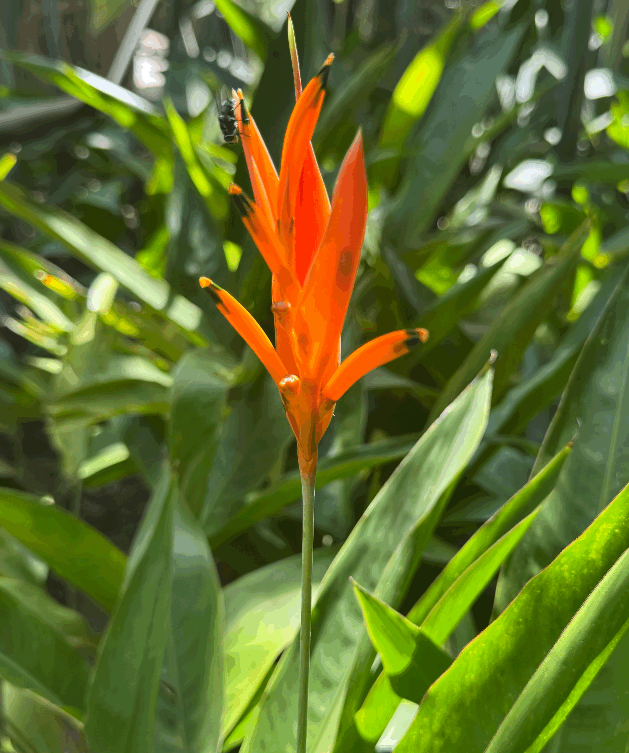 Longevity in the Age of Misinformation