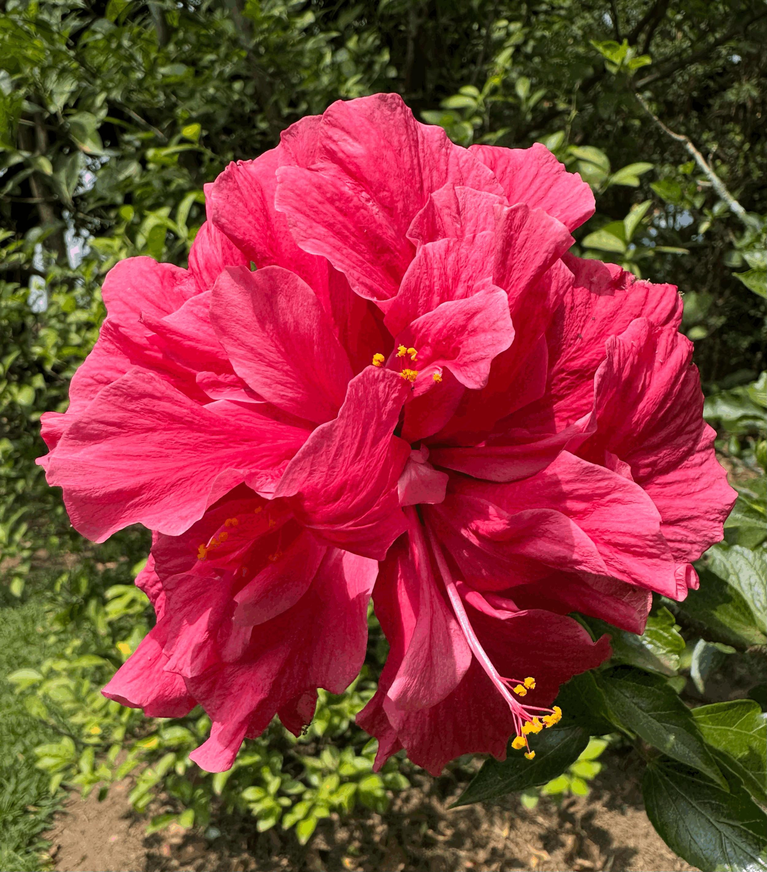 Valentine’s Day Gift Ideas That Nurture Care, Connection, and Wellbeing