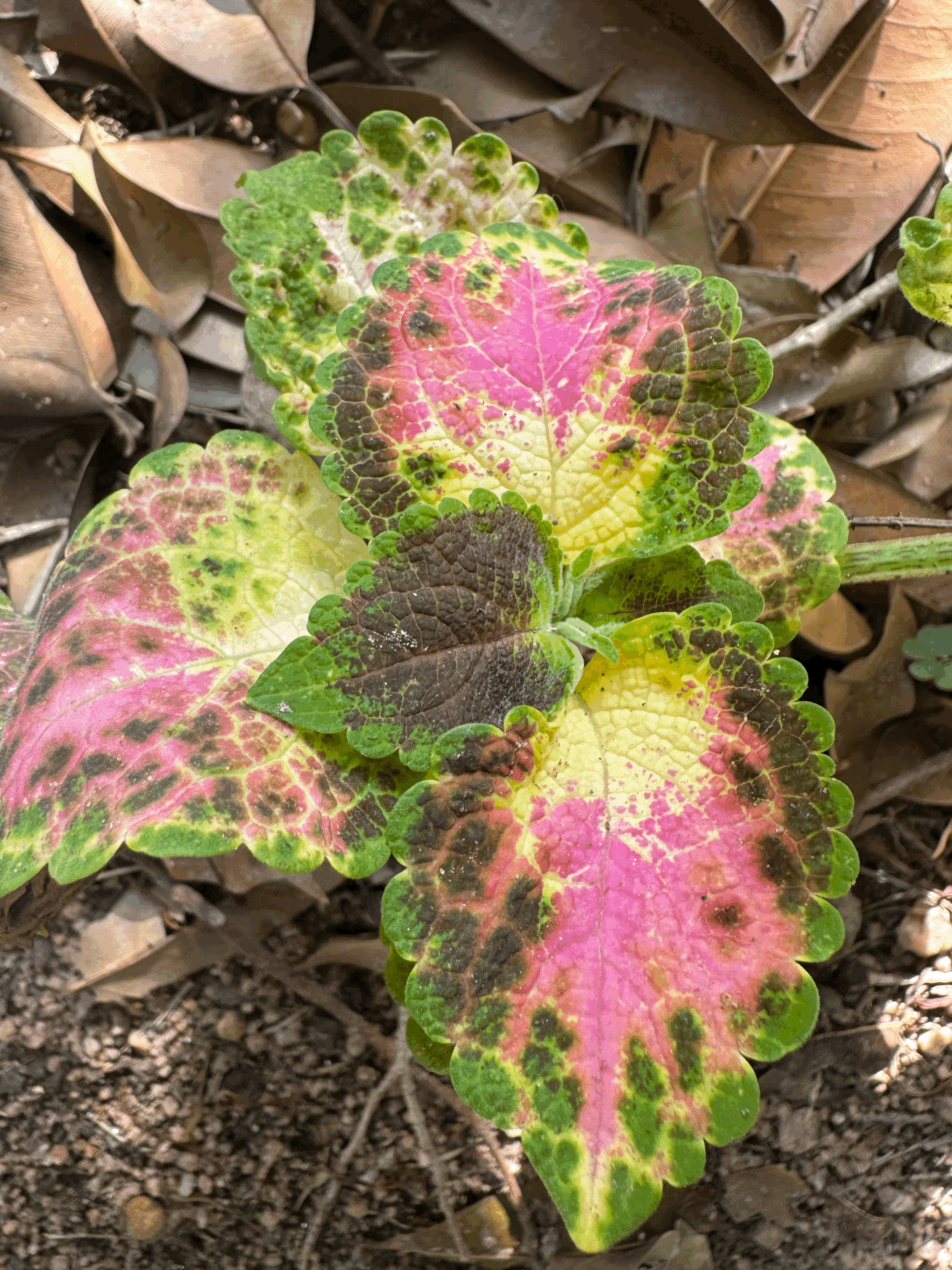 6 Health Trends I Ignore And Why You Probably Should Too