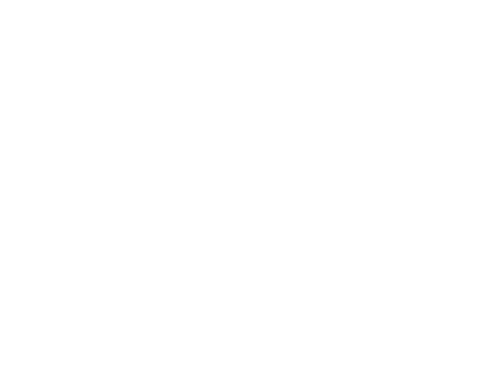 Silhouette of a camera with decorative lines indicating excitement or emphasis.
